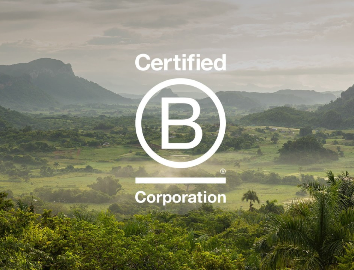 Trying to become a B Corp? It’s hard, but worth it