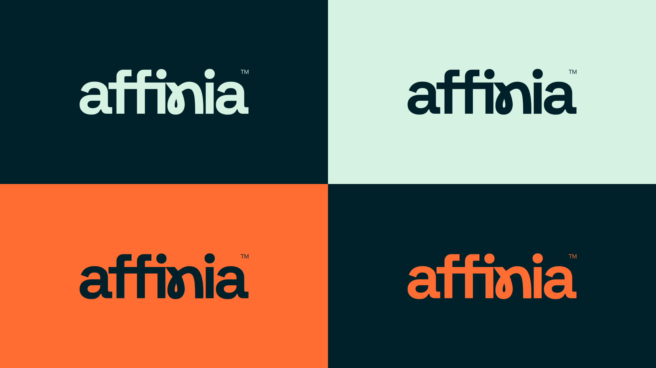 Magnetic case study – Affinia